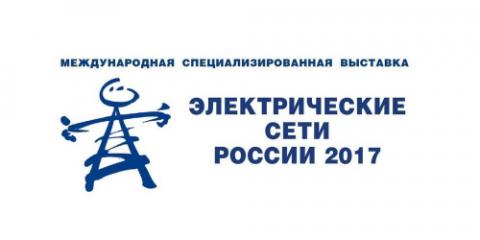 Электрические сети России 2017